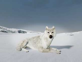 WolfQuest: Anniversary Edition – All Den Locations 6 - steamlists.com
