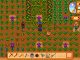 Stardew Valley – Tailoring Guide – Hats / Shirts / Pants / Boots / Dyes 497 - steamlists.com