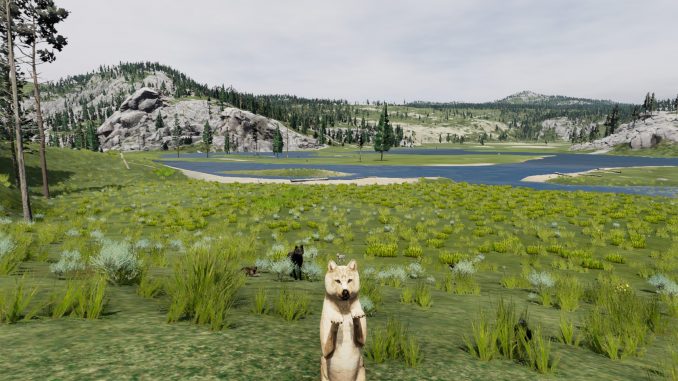 WolfQuest: Anniversary Edition – Lost River: Everything you need to know 1 - steamlists.com