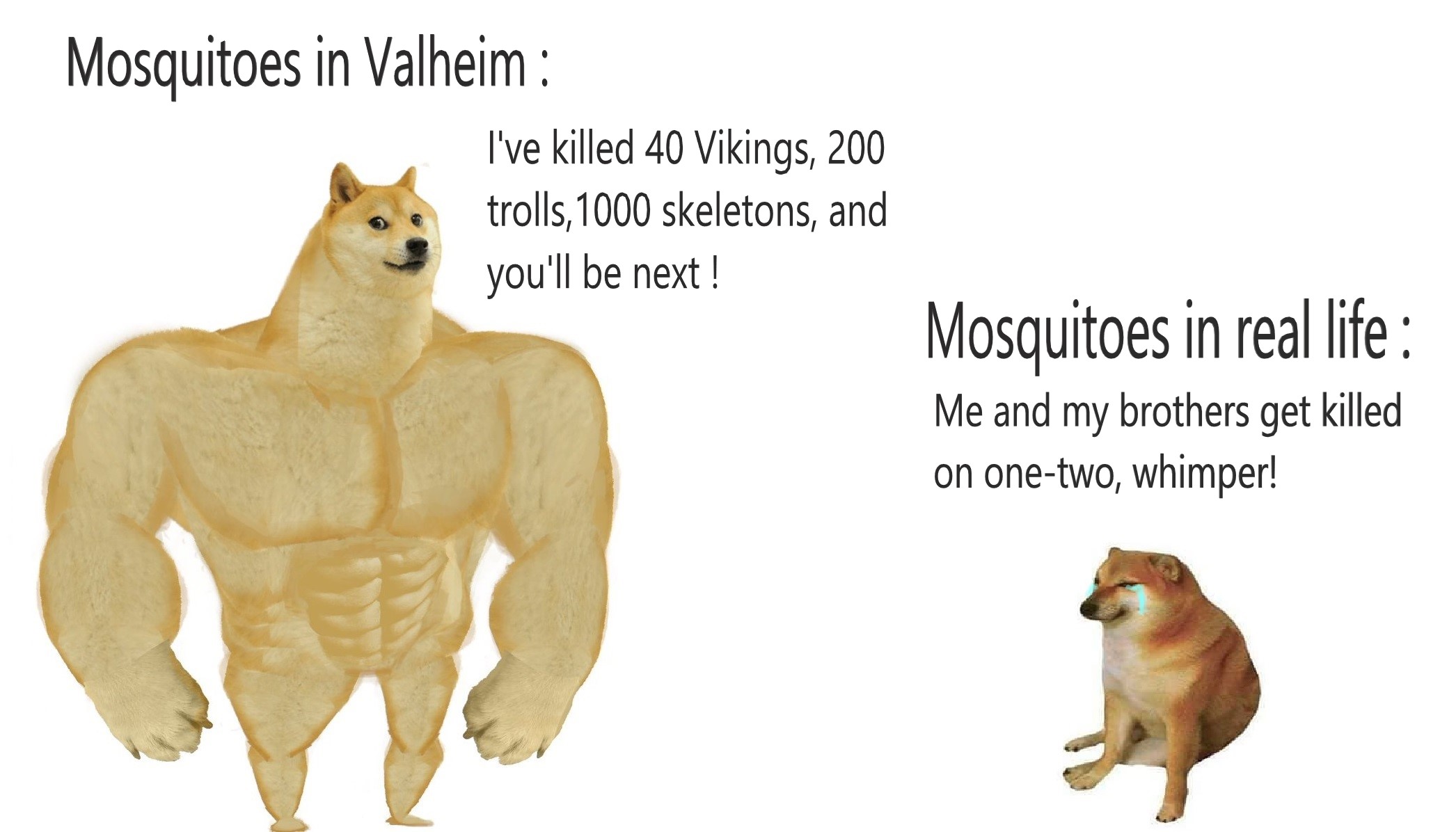Valheim - All console commands and All NPC - Iteams - Skills ID! - A meme to lift your mood ! :)