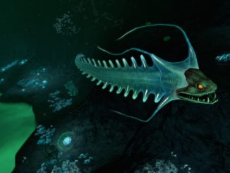 Subnautica – The Shallows and the Deep 1 - steamlists.com