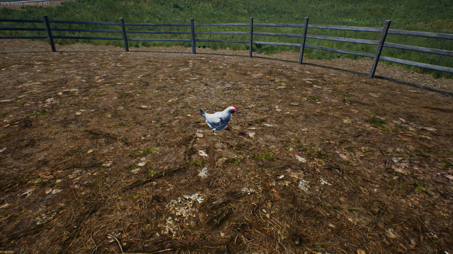 How to feed and water chickens in Ranch Simulator - Gamepur