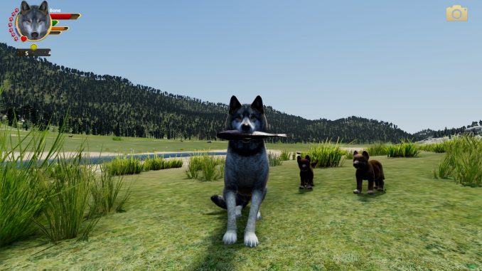 WolfQuest: Anniversary Edition – General Guide to Wolf Quest: Anniversary Edition (PC) 1 - steamlists.com
