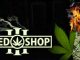 Weed Shop 3 – Gameplay Tutorial + Information + Playthrough 1 - steamlists.com
