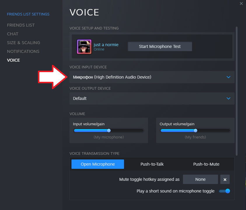Team Fortress 2 - Voice Chat Isn't Working? Guide How to Fix - 5 - E8A5293