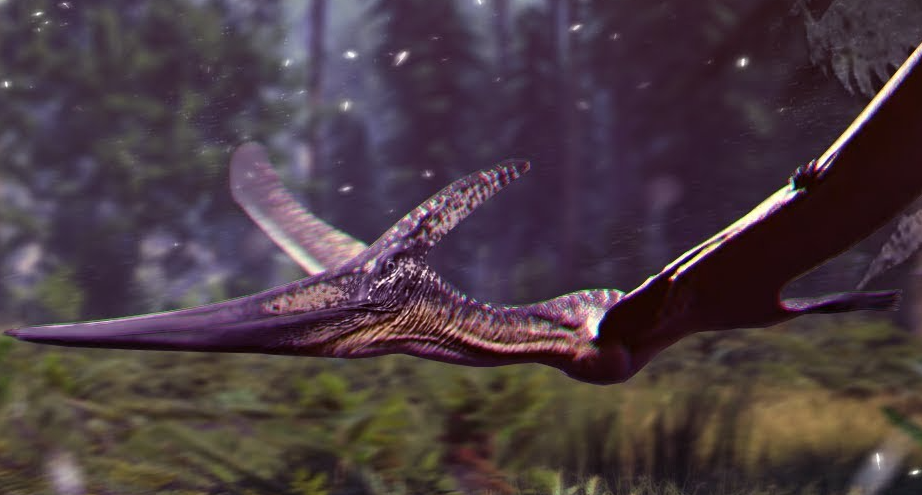 The Isle - Pteranodon Guide and Tips - Ptera - BACK-IN-COMBAT [Bonus Section!] - B0BE84E