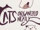 Cats Organized Neatly – Guide covers every level and every Achievement for full Completion 1 - steamlists.com