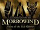 The Elder Scrolls III: Morrowind – Guide on how to build a useful Class for your Playthrough 1 - steamlists.com