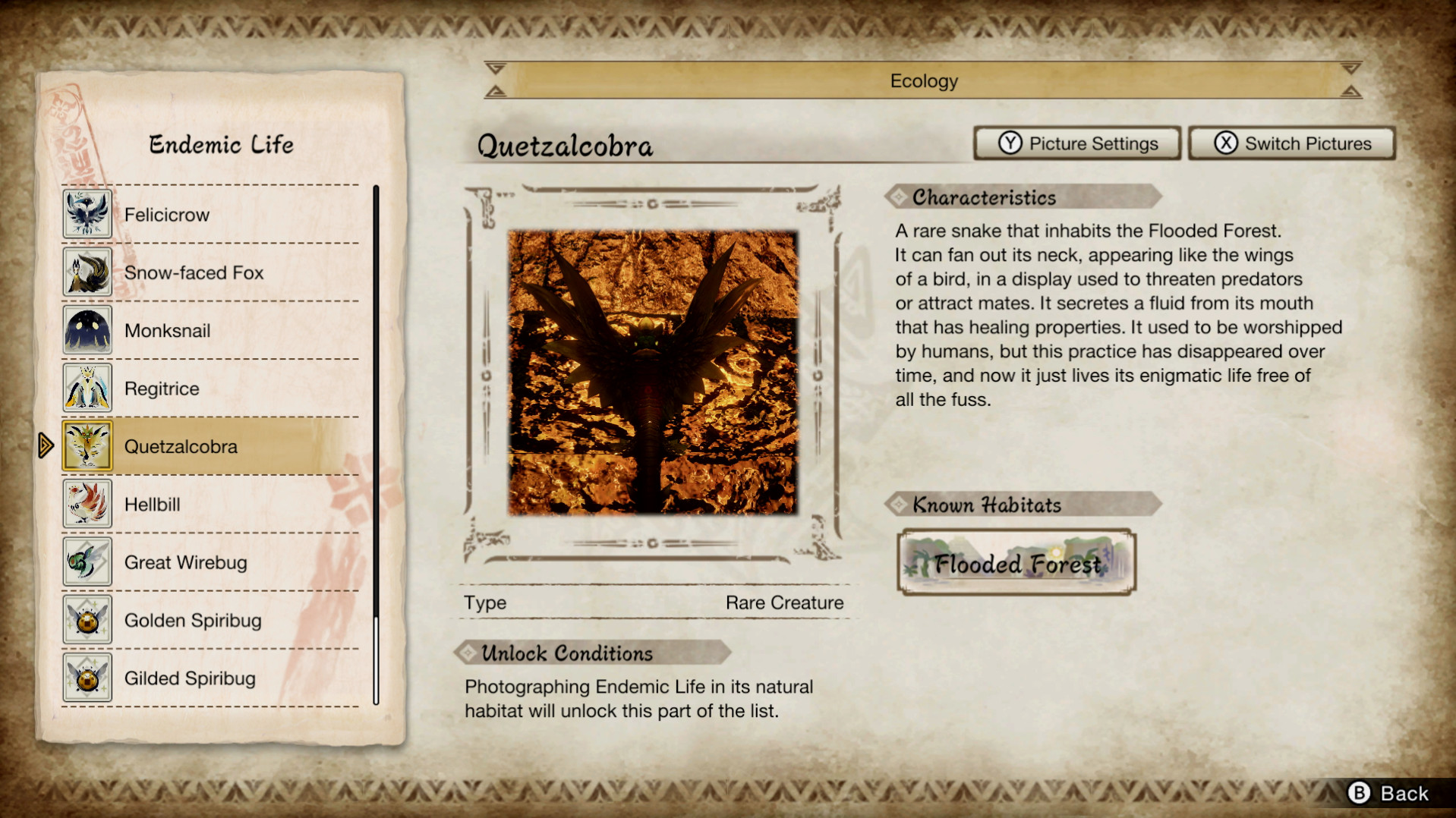 MONSTER HUNTER RISE - Five Mythical/Special Endemic Life Location - Quetzalcobra - D205228