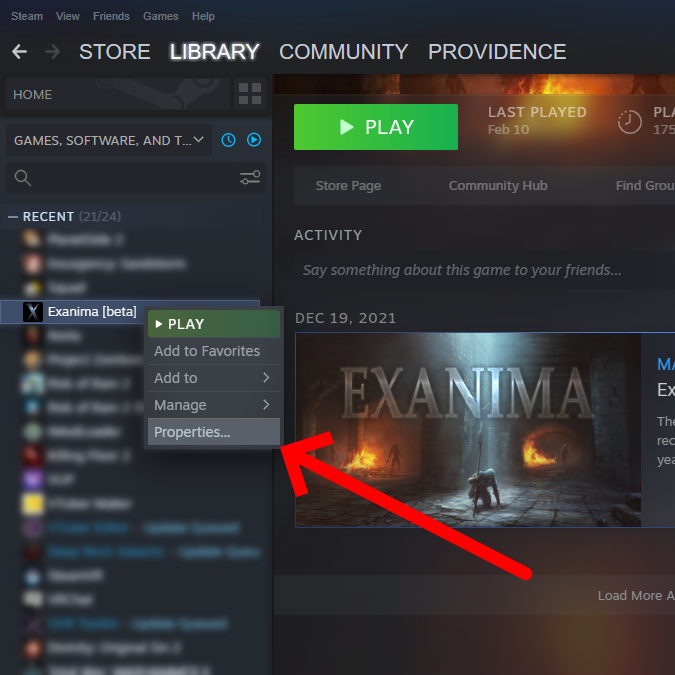 Exanima - How to Access Beta Branch Client - FIRST; RIGHT CLICK ON YOUR EXAMINA ICON AND PRESS 