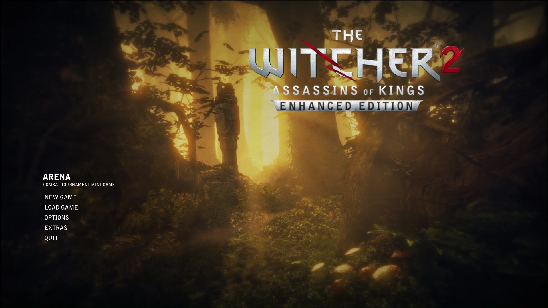 The Witcher 3: Wild Hunt - What to do after beating the game - Other Witcher games - 4BC3ECD