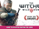 The Witcher 3: Wild Hunt – What to do after beating the game 1 - steamlists.com