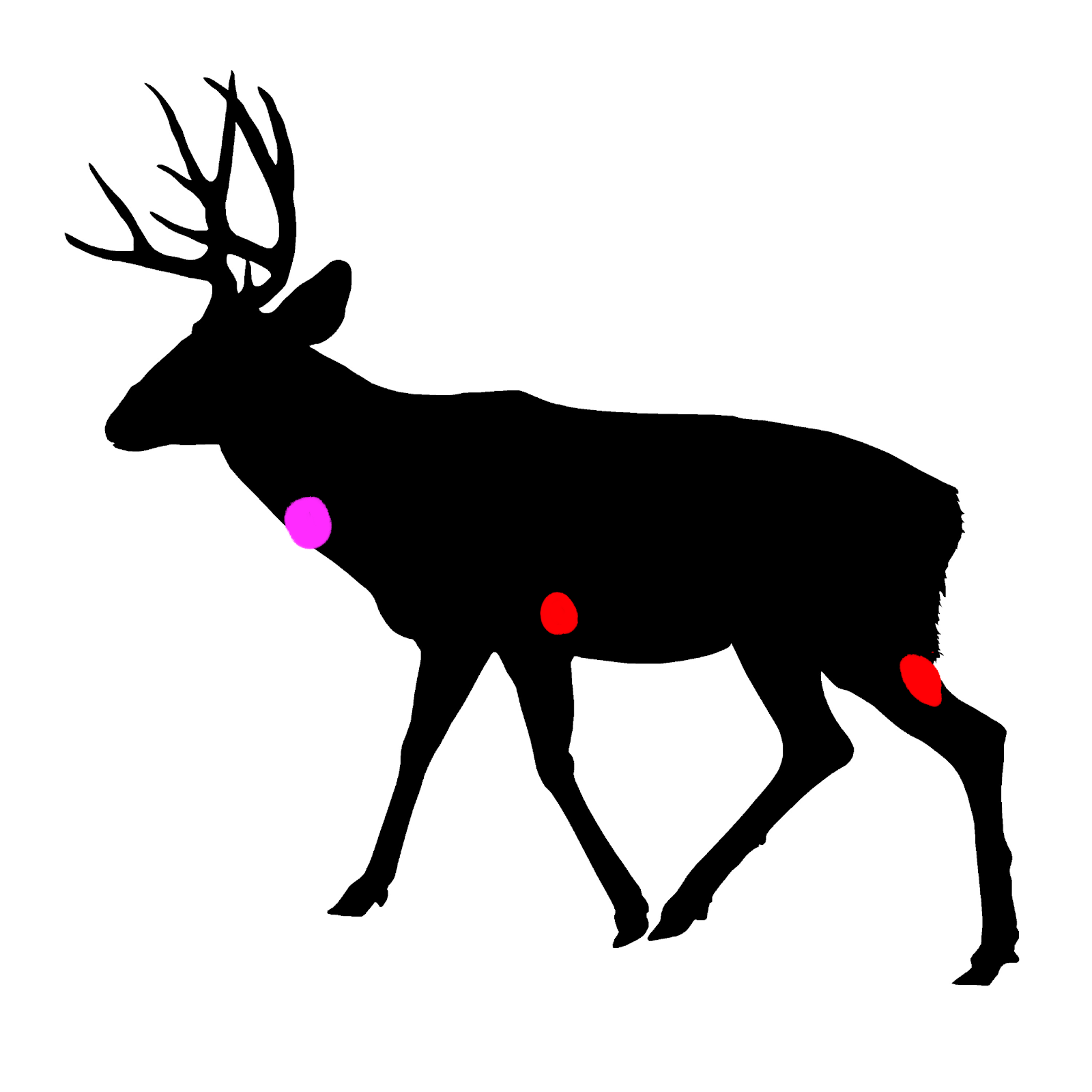 WolfQuest: Anniversary Edition - Hunting Details Guidebook - ✦ iii. Mule Deer ✦ - 0E24809