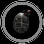 Roblox The Grand Crossing Border - Badge Spider Egg!