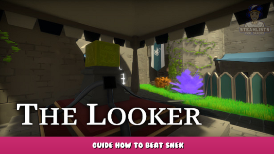 The Looker – Guide How to Beat Snek 3 - steamlists.com