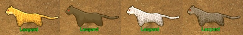 Keplerth - How to Tame Animals - Pet Guide - Leopard - 811DBFA