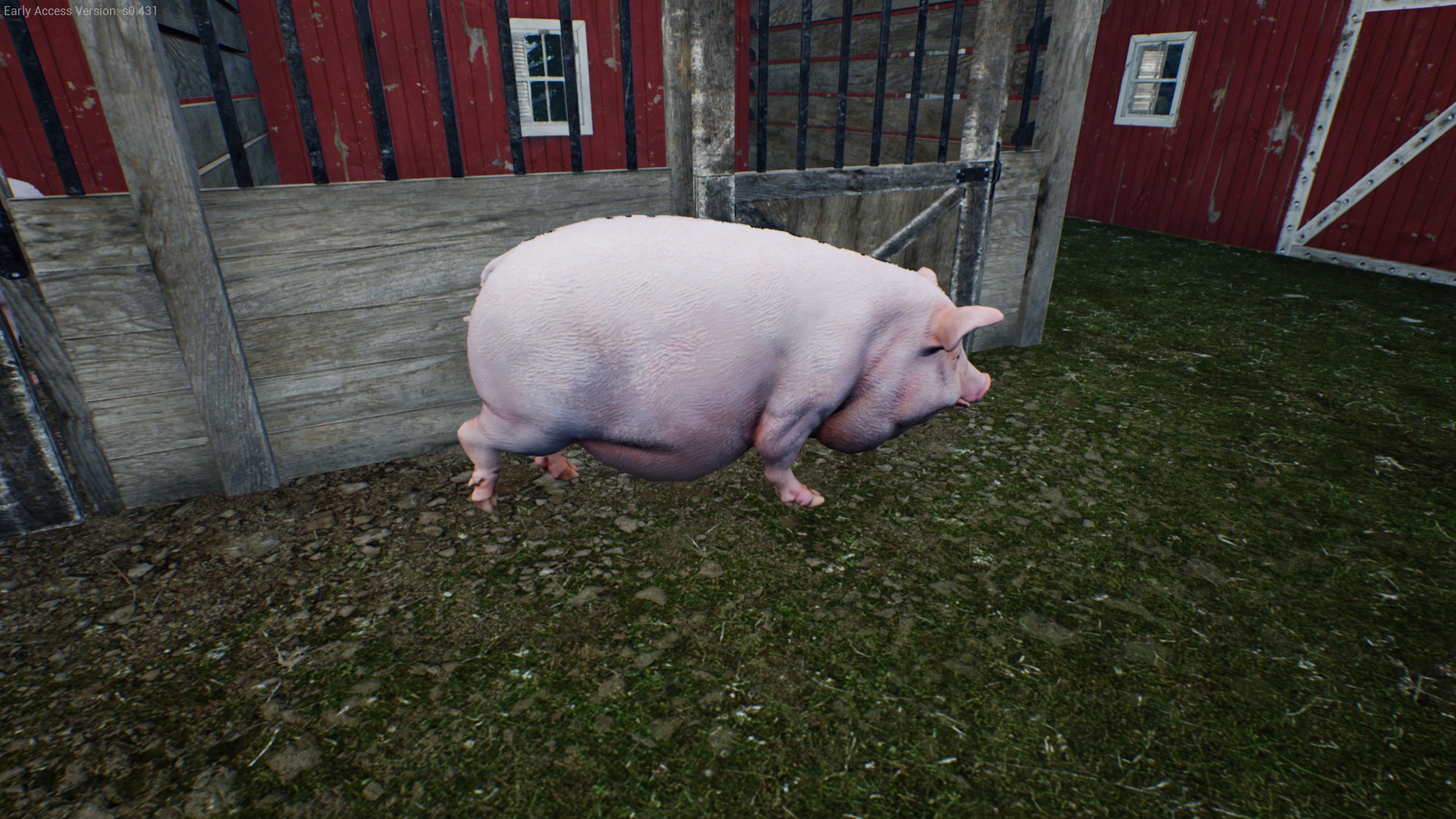 Ranch Simulator - Full Guide & Walkthrough - Pigs - 33765EE