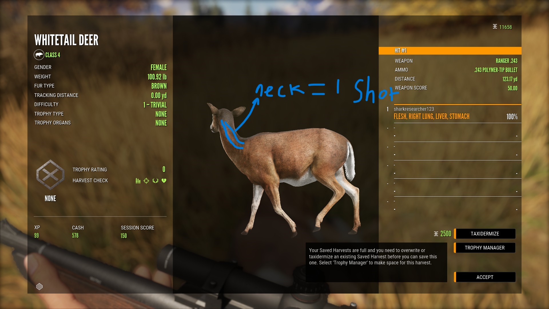 theHunter: Call of the Wild™ instal the last version for windows