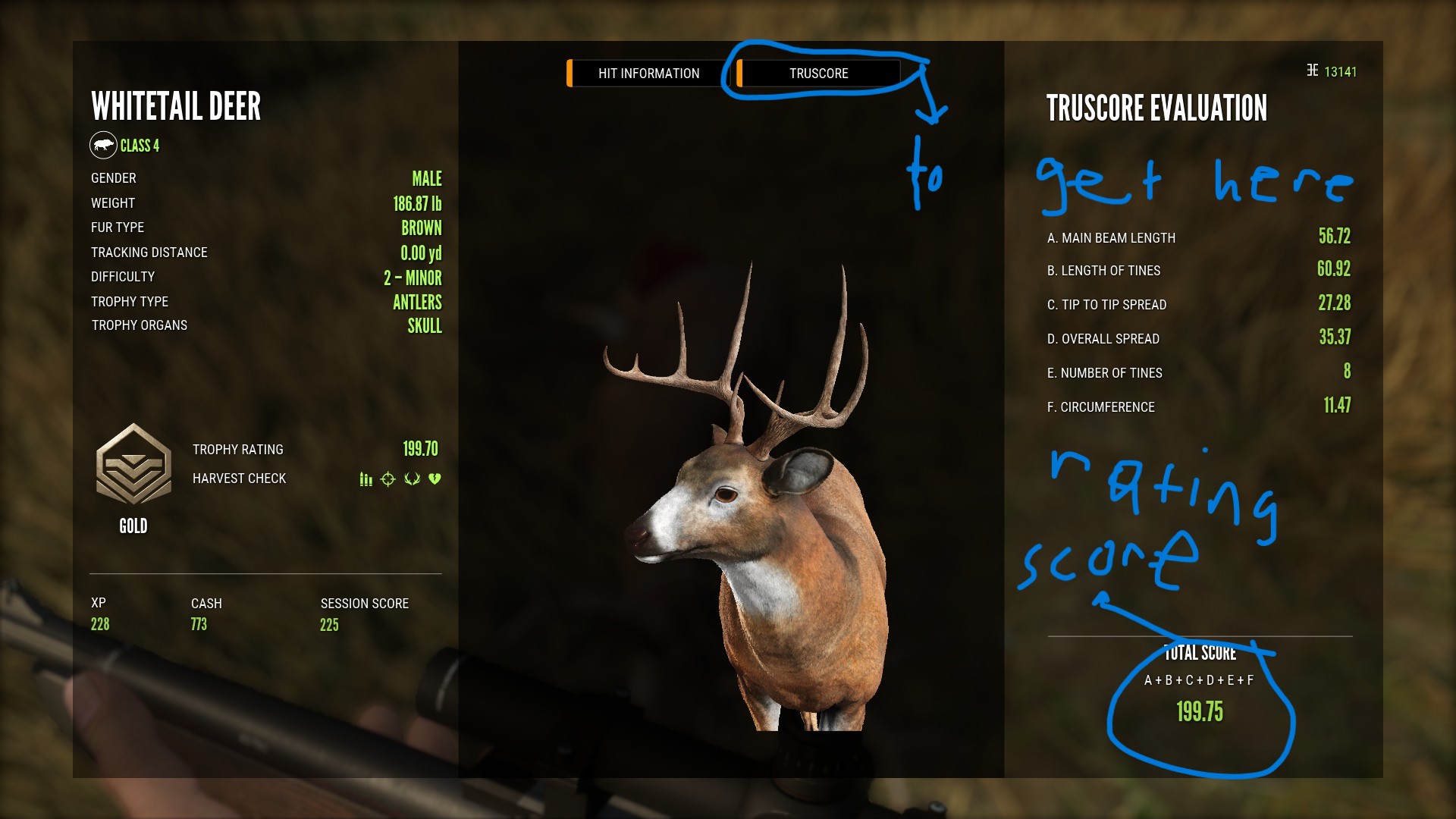 theHunter: Call of the Wild™ - Gameplay Basics - Full Guide - Harvest screen. - 616717F