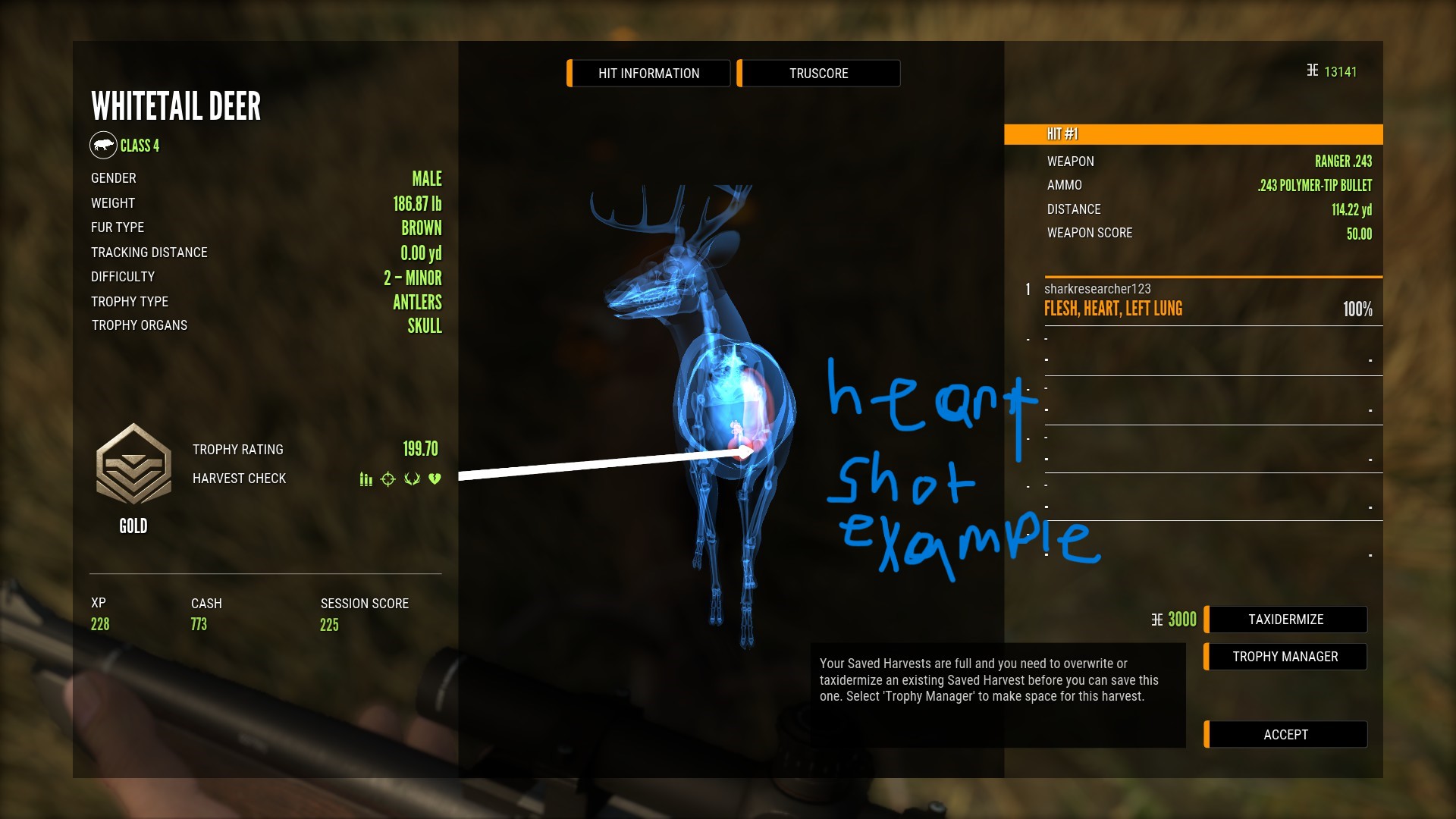 theHunter: Call of the Wild™ - Gameplay Basics - Full Guide - Shot placement - 563D75C
