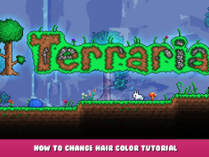 Terraria – How to Change Hair Color Tutorial 1 - steamlists.com