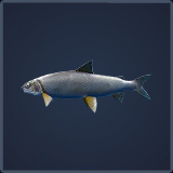 Call of the Wild: The Angler™ - Guide to Fishing + Baits - Mountain Whitefish - 51EA4B4