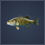 Call of the Wild: The Angler™ - Guide to Fishing + Baits - Smallmouth Bass - 1F0BDA3