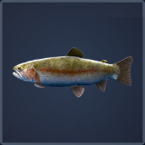 Call of the Wild: The Angler™ - Guide to Fishing + Baits - (WiP) Rainbow Trout - 80E2E4B