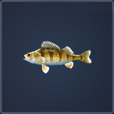 Call of the Wild: The Angler™ - Guide to Fishing + Baits - Yellow Perch - AB5B5AF