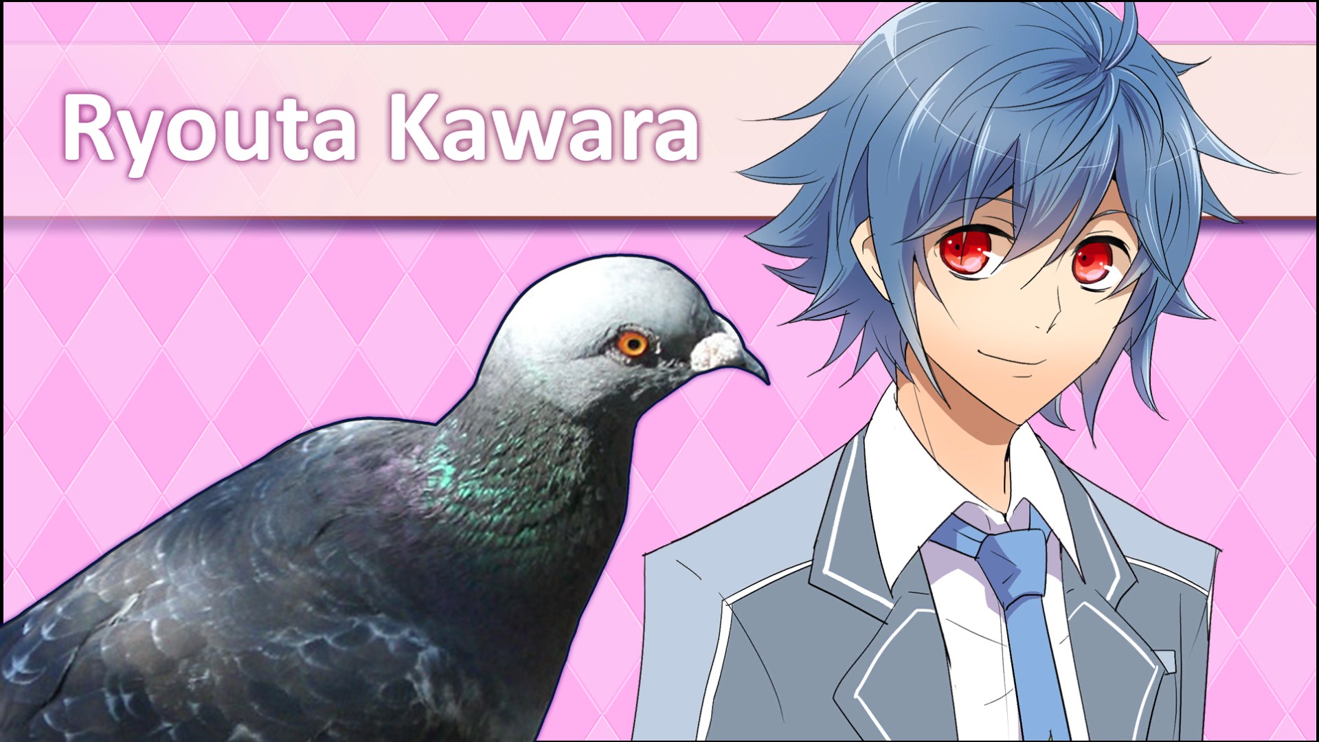 Hatoful Boyfriend - Hiyoko Tosaka's Bird Watching Guide - Rock Dove - 4668F0A