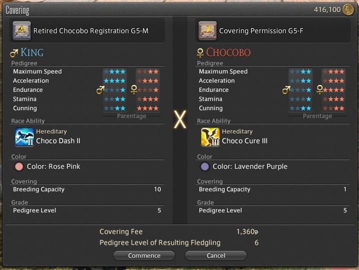 FINAL FANTASY XIV Online - Chocobo Gameplay and Tips Guide - Race Chocobo Covering (Breeding and Training) - 39F6DF3