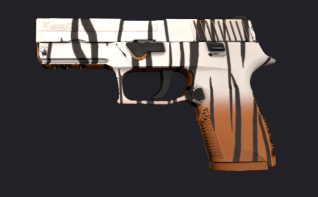 Counter-Strike: Global Offensive - Pattern guide for the P250 - Bengal Tiger - Funny and interesting patterns - 2B20828