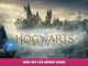 Hogwarts Legacy – High FPS for NVidia Users 12 - steamlists.com