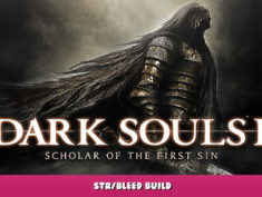 DARK SOULS™ II: Scholar of the First Sin – STR/BLEED Build 5 - steamlists.com