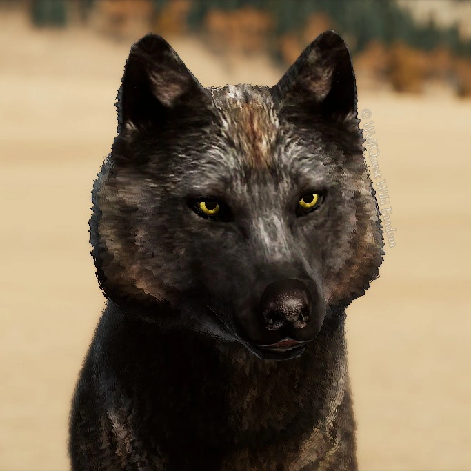 WolfQuest: Anniversary Edition - Tips how to get NPC Coats - Bronze Forehead - 0D03EBE