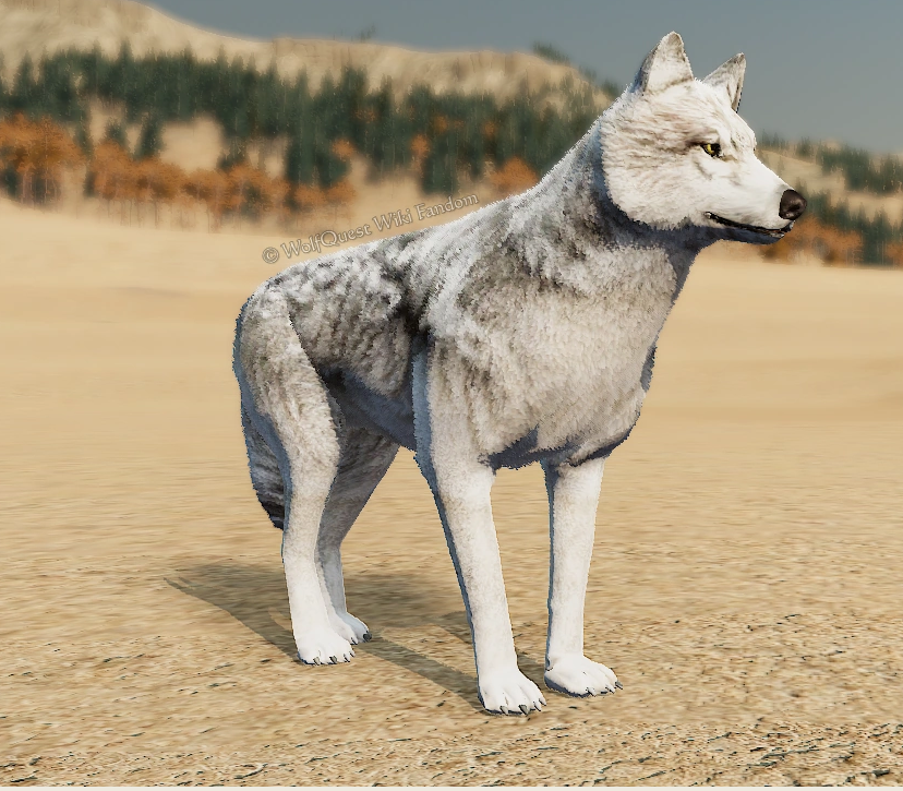 WolfQuest: Anniversary Edition - Tips how to get NPC Coats - Frosty - BB6DED0