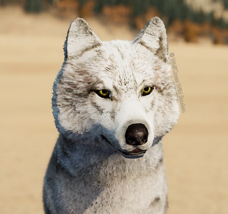 WolfQuest: Anniversary Edition - Tips how to get NPC Coats - Frosty - DE4AD19