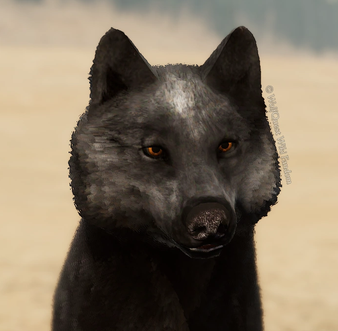 WolfQuest: Anniversary Edition - Tips how to get NPC Coats - White Star - 9746406