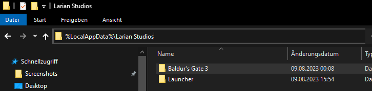 Baldur's Gate 3 - How to delete cache guide - Delete the Game's Cache - E48366A